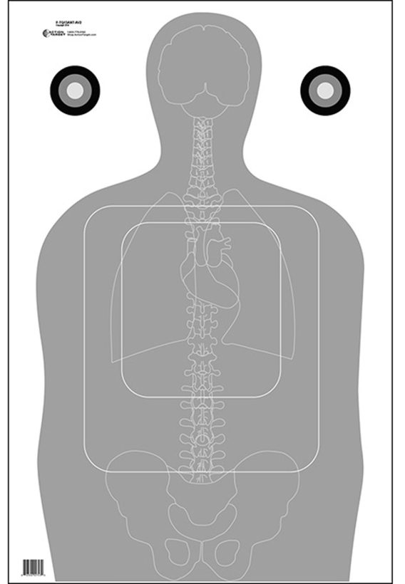 ACTION FTQ15ANTAV2100 TQ-15 VITALS TARGET    100BX