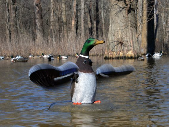 HIGDON 53072 FLOATING FLASHER MLLRD DRAKE - Image 3