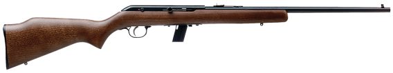 SAV 30000 64G        22LR NOACU     WOOD