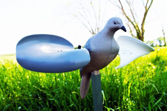MOJO HW7201   WIND DOVE - Image 2