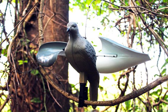 MOJO HW7201   WIND DOVE - Image 3