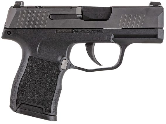 SIG 365-380-BSS-MS      P365 380 ACP   3.1 10R  SS