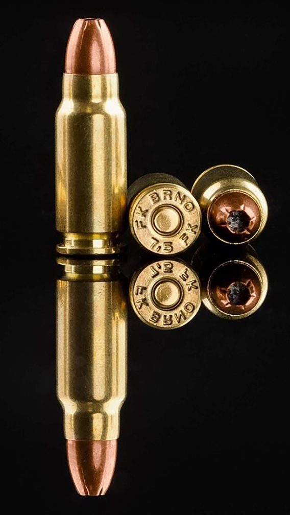 IFG FKBRUNO FK-AMMOF9-50 AMMO 7.5FK 101GR    50/10 - Image 3