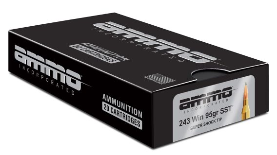 AMMOINC 243W095SST-A20    243   95 SST       20/10