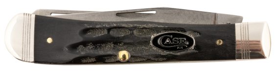 CASE 65090 0054  BH254  S35VN BUFFALO HORN