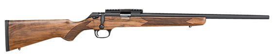 SPG BARC92022GAAA MD 2020 RF CLASSIC 22LR WLNT AAA